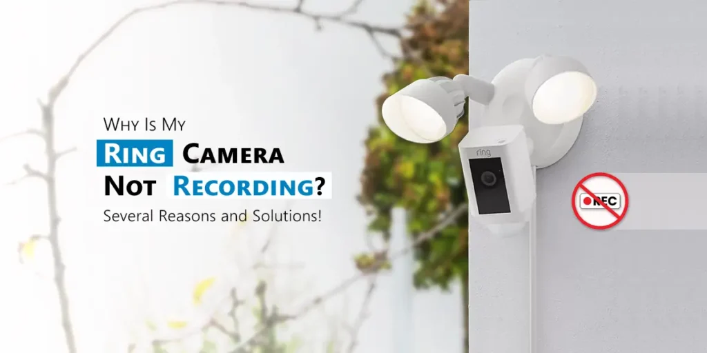 Ring Camera Not Recording