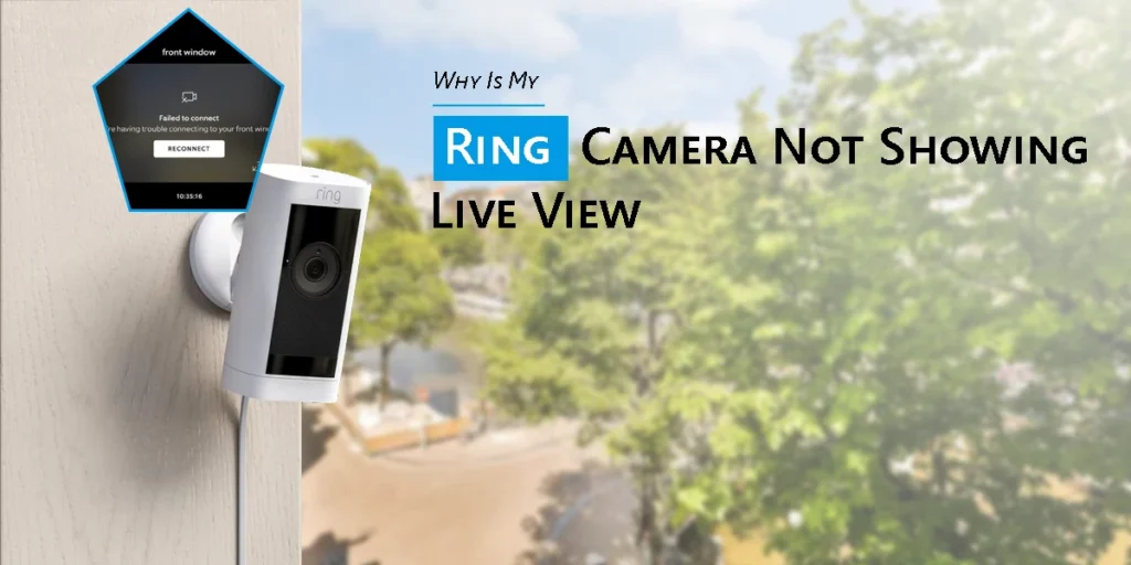 Why Is My Ring Camera Not Showing Live View?